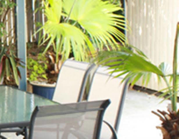 Benson Court Motel Μπρίσμπεϊν Εξωτερικό φωτογραφία